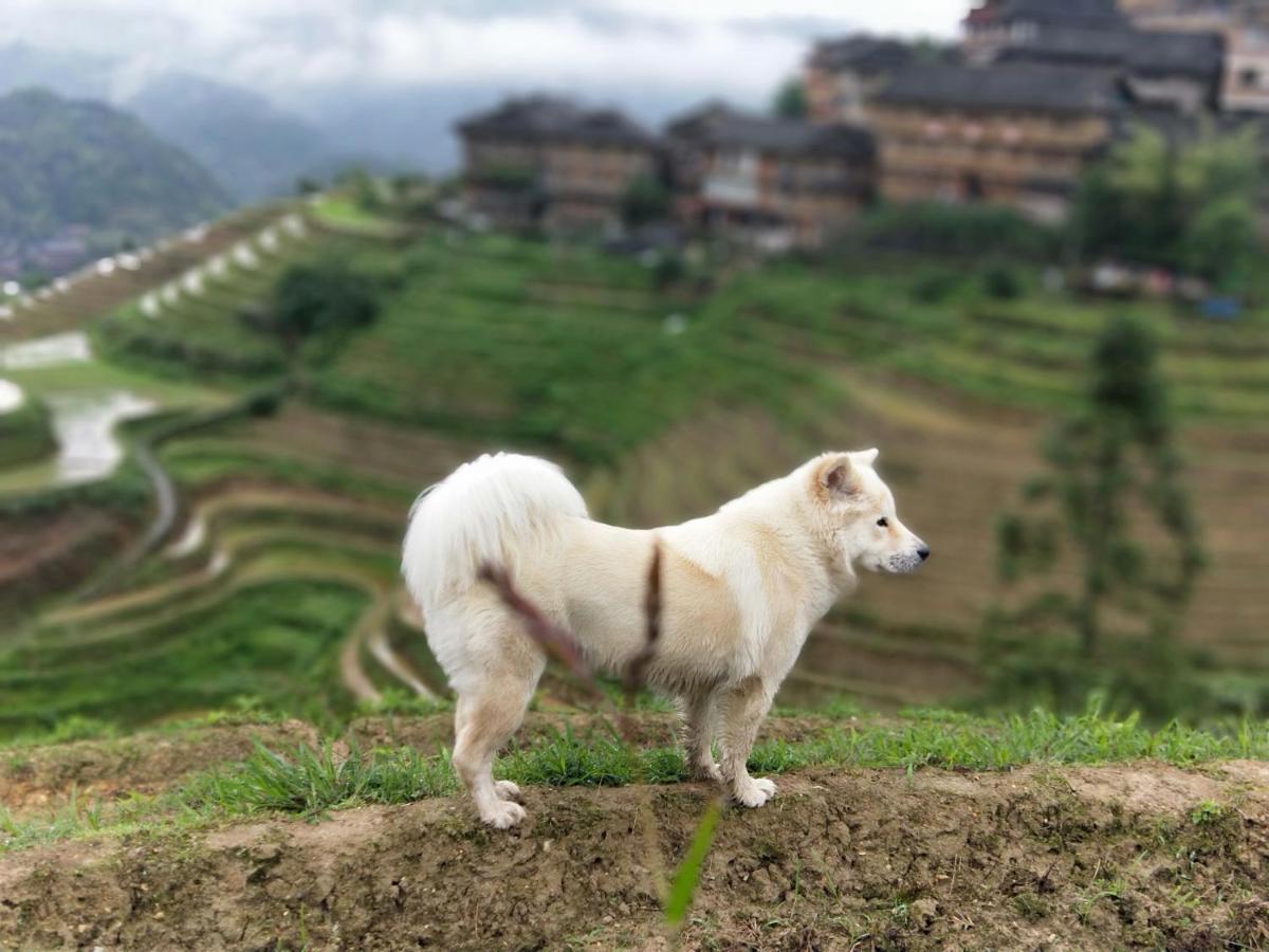 Dragon'S Den Hostel Longsheng Eksteriør bilde